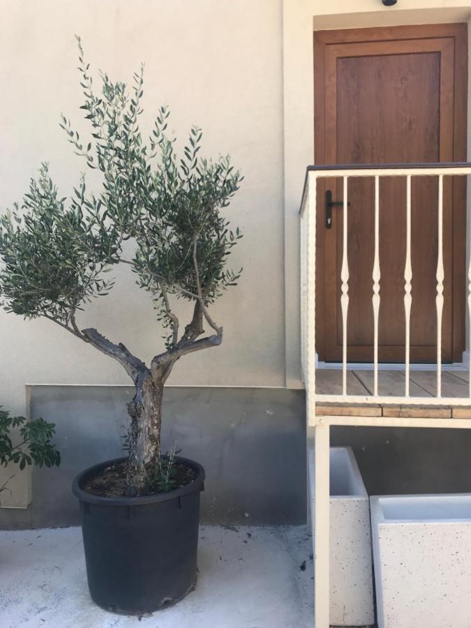 Novem Leilighet Zadar Eksteriør bilde